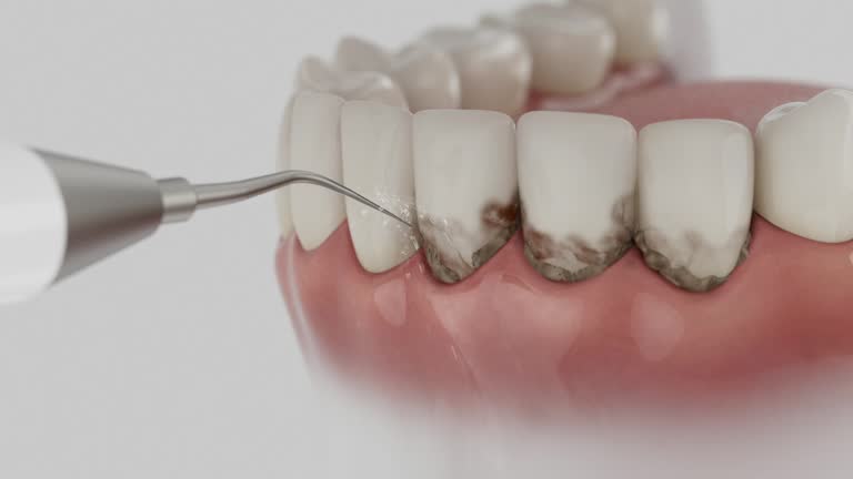 Reliable Dental contractor in Wilkinson Heights, SC by Dentist Open Now